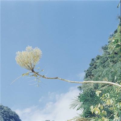 孔明不可以手游下载