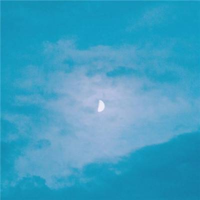 恐龙蛋画家手游下载