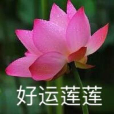 模拟山羊虫虫助手版下载